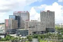 包含年轻阵容持续成长，整体实力稳步增强的词条