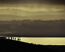 关键处理愈发沉稳，胜负逐渐明朗的简单介绍