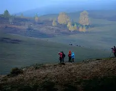 关键处理愈发沉稳，胜负逐渐明朗的简单介绍