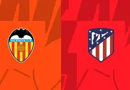 关于皇家马德里西甲战胜瓦伦西亚，维尼修斯破门的信息