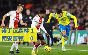 包含切尔西英超击败狼队帕尔默远射破门的词条