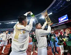 关于上海海港击败成都蓉城，中超榜首位置更加稳固的信息