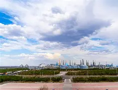 山东高速CBA击败新疆广汇高诗岩反击得分(cba新疆负山东 高诗岩遭驱逐)